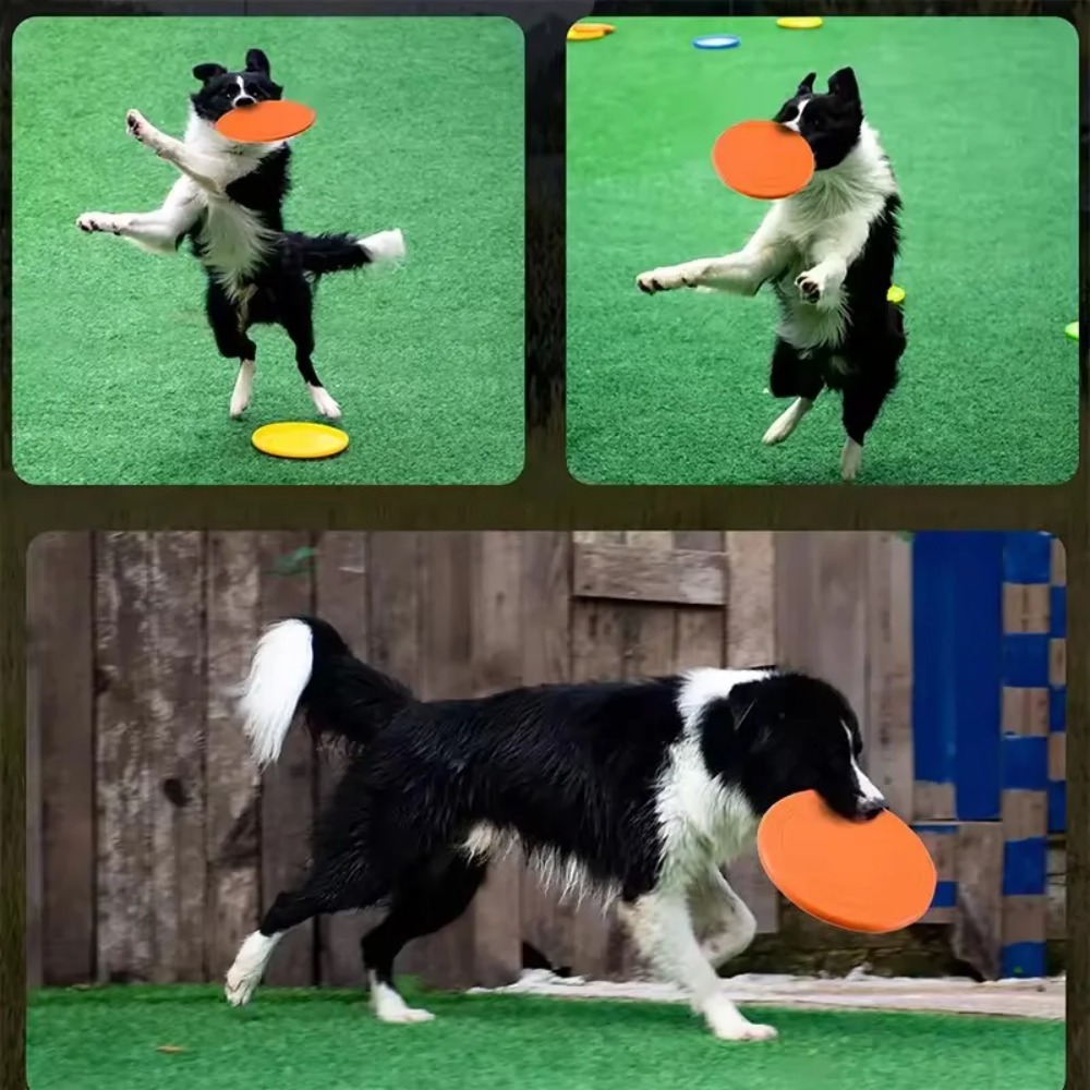 Latający dysk dla psa TPR, int – Flying Disc Dog Training Toy recenzja i cena