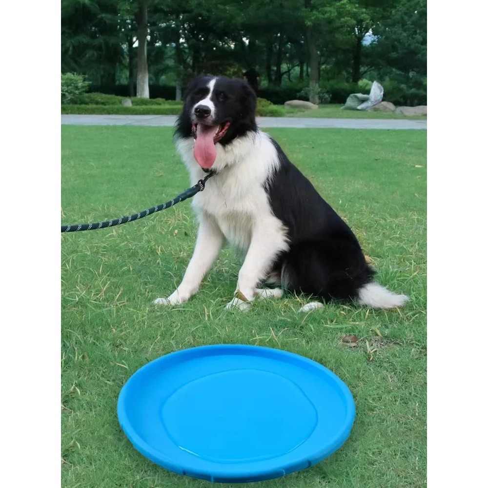Latający dysk dla psa TPR, int – Flying Disc Dog Training Toy recenzja i cena