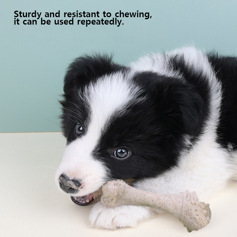 12 cm – zabawki dla zwierząt,  – Teeth Cleaning Dog Chew Bone recenzja i cena