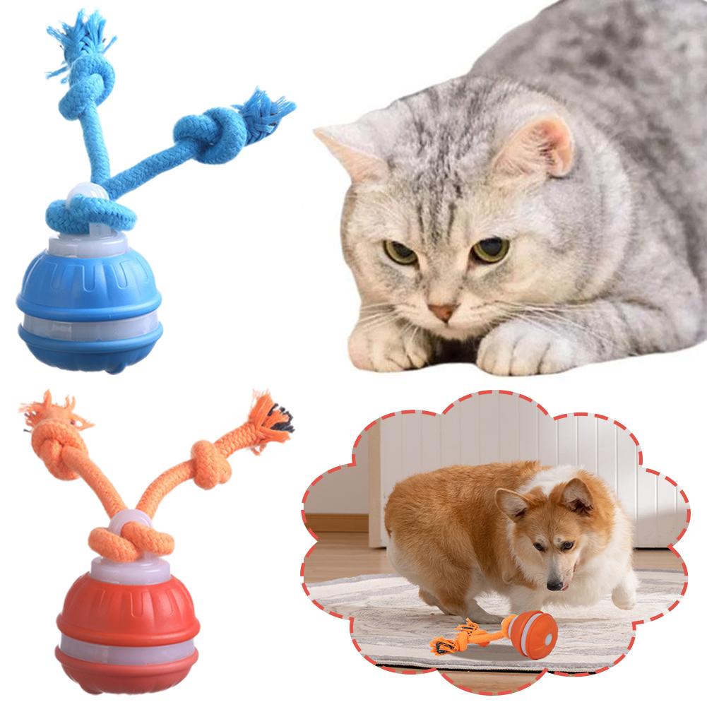 Inteligentna, ładowalna piłka  – Automatic Moving Dog Ball recenzja i cena