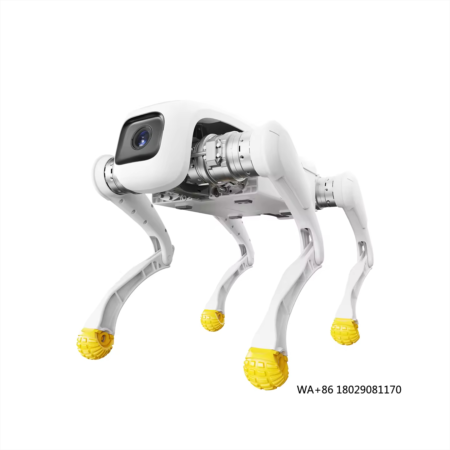 Zabawka robotyczna dla psa, ro – Dog Toys recenzja i cena