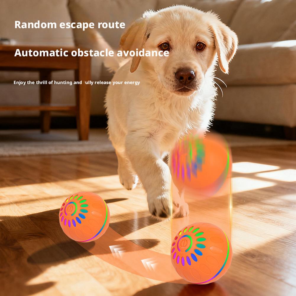 Inteligentna piłka dla psa, au – Automatic Moving Dog Ball recenzja i cena
