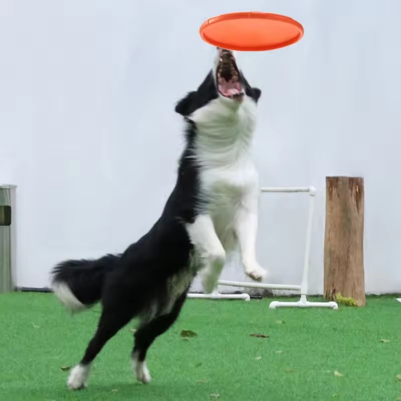 Interaktywna silikonowa latają – Flying Disc Dog Training Toy recenzja i cena
