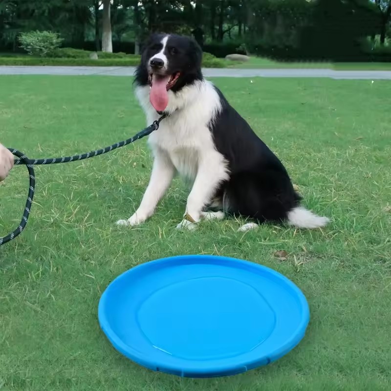 Interaktywna silikonowa latają – Flying Disc Dog Training Toy recenzja i cena