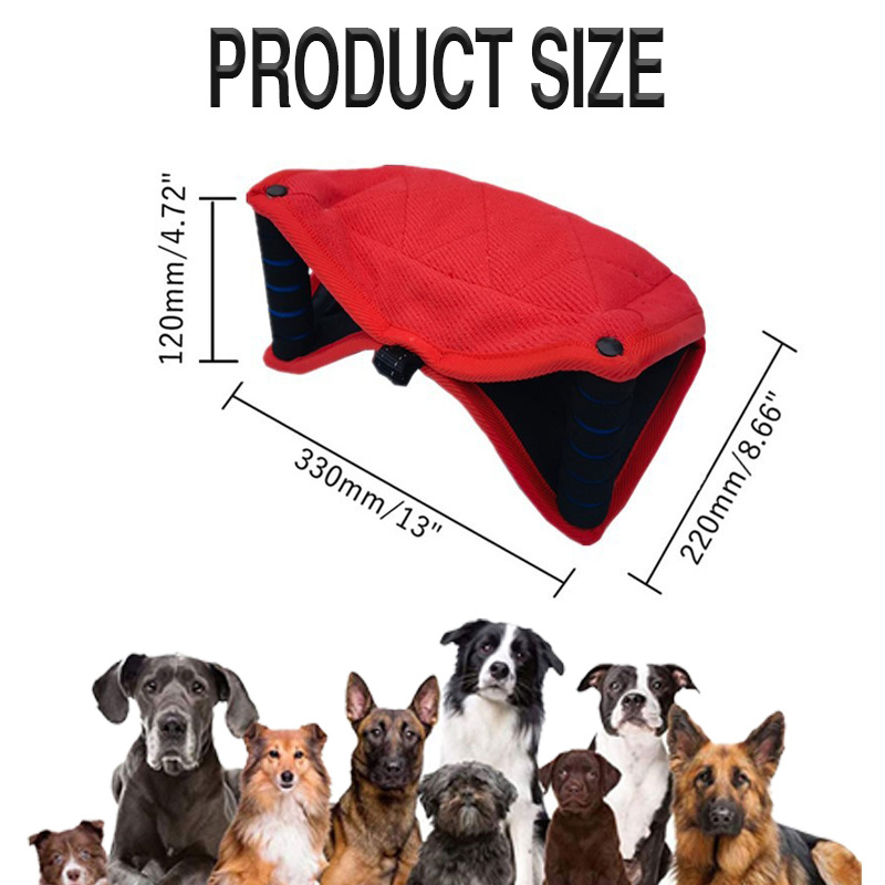 Poduszka do gryzienia dla psa, – Interactive Squeaky Plush Dog Toy recenzja i cena