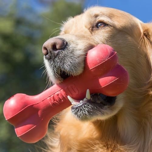 Klasyczna, trwała kostka dla p – Rubber Treat Dispensing Dog Toy recenzja i cena