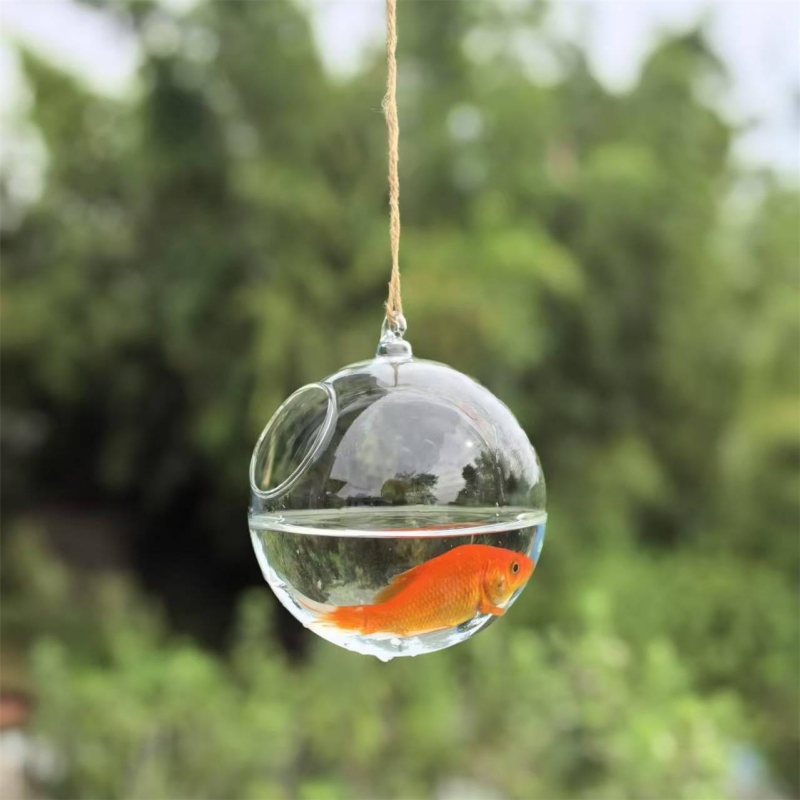 Mały średnica opakowania = 10c – Aquarium recenzja i cena