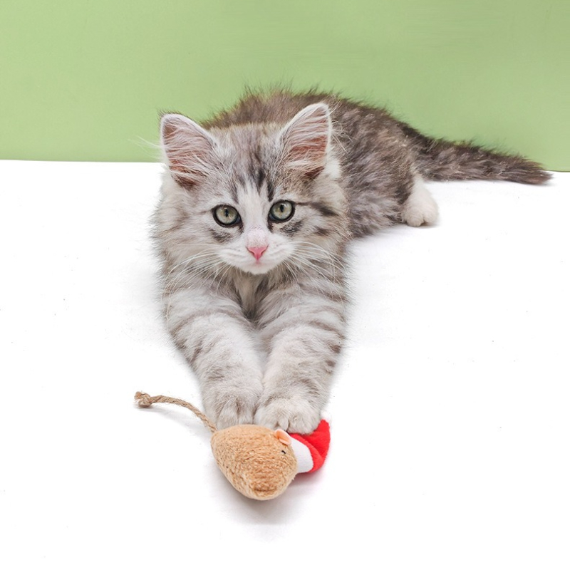 5 szt. Zabawka dla kota do gry – Catnip Interactive Plush Mouse recenzja i cena