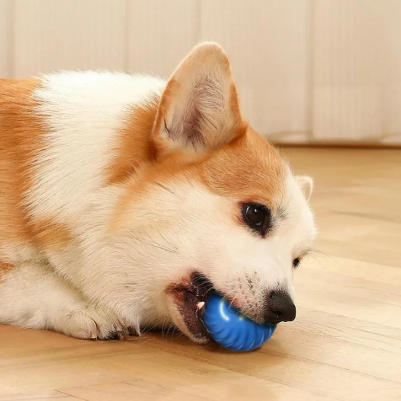 @1G – zabawka dla psa w formie – Automatic Moving Dog Ball recenzja i cena