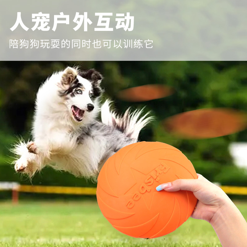 Zabawki dla zwierząt, frizbi d – Flying Disc Dog Training Toy recenzja i cena