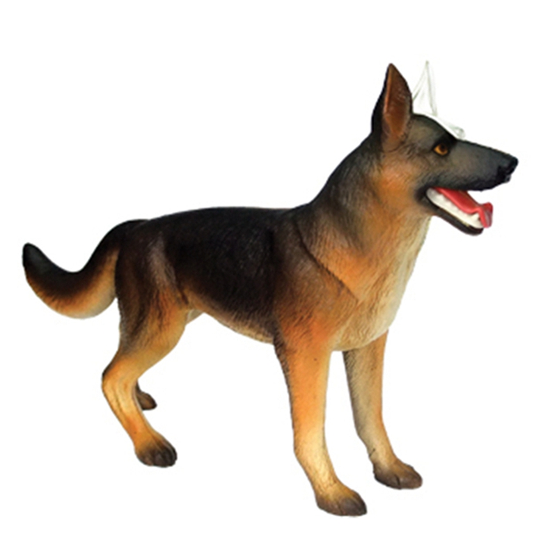Model anatomiczny narządów zwi – Dog Toys recenzja i cena