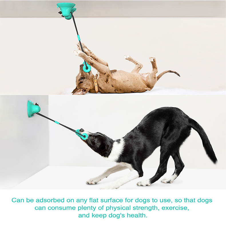 Zabawka dla psa z podwójną prz – Suction Cup Dog Tug Toy recenzja i cena