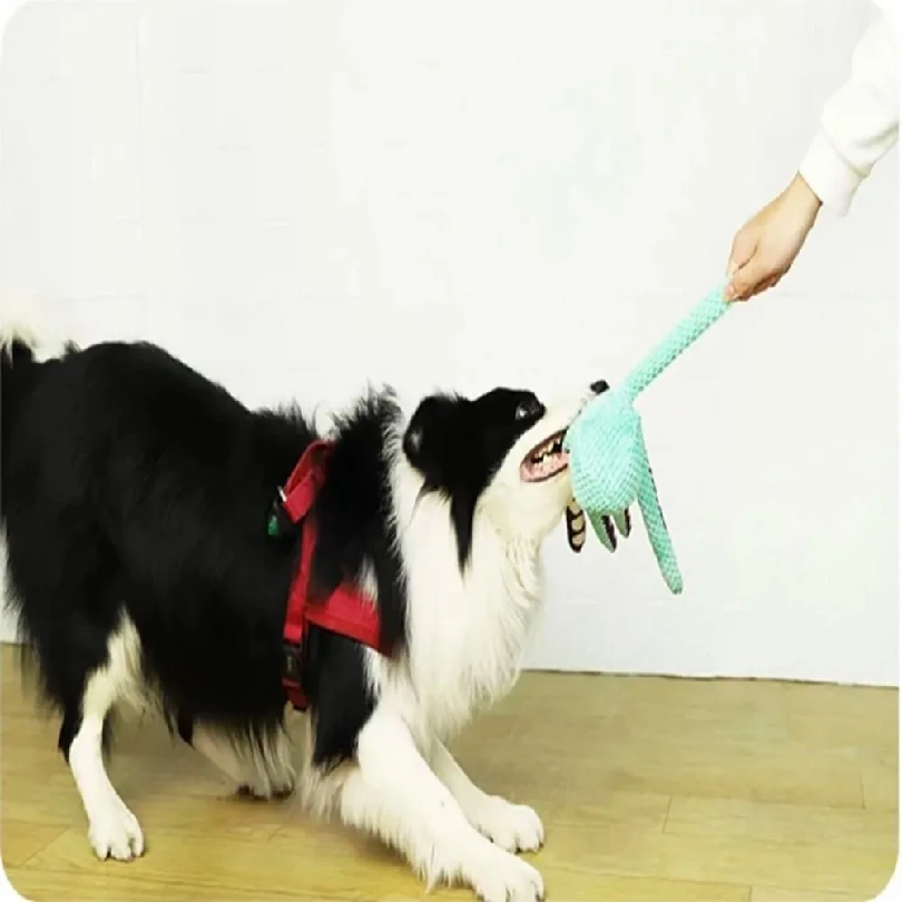 Pluszowa zabawka dla psa w ksz – Snuffle Mat For Dogs recenzja i cena